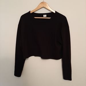 Aritzia Lomg Sleeve Crop Top